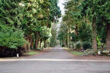 friedhof