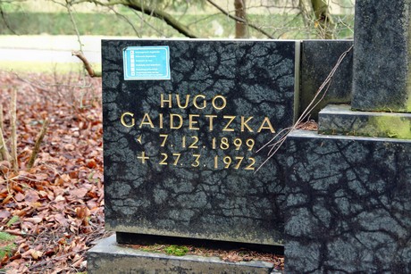 friedhof