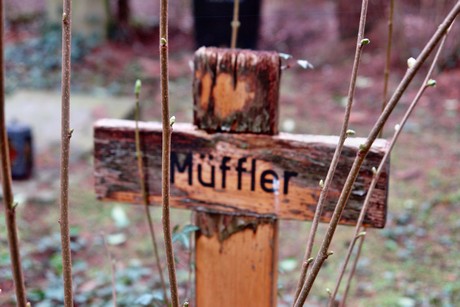friedhof