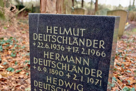 friedhof