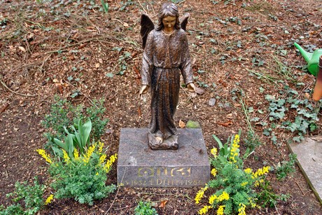 friedhof