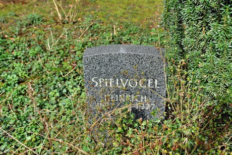 friedhof