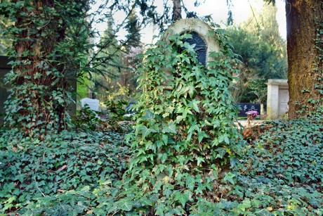 westfriedhof