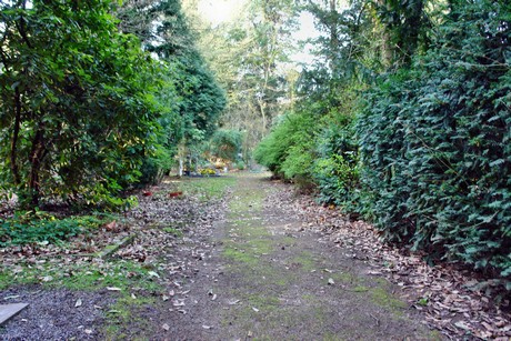 westfriedhof