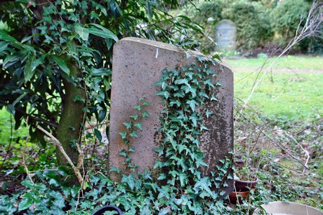 westfriedhof