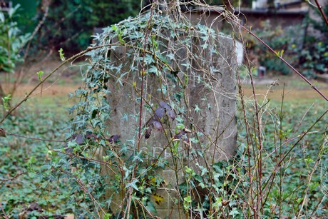 westfriedhof