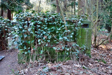 westfriedhof