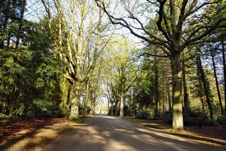 westfriedhof