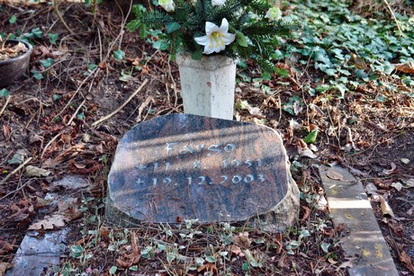 westfriedhof