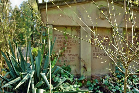 westfriedhof