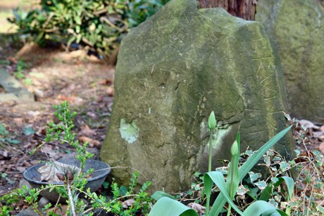 westfriedhof