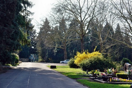 westfriedhof