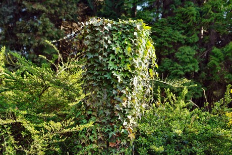 westfriedhof