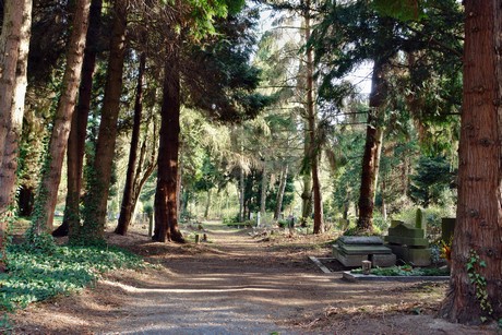 westfriedhof