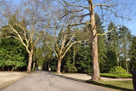 westfriedhof