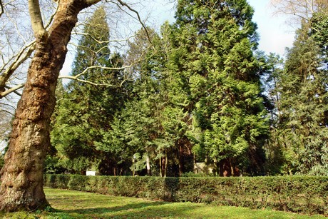 westfriedhof
