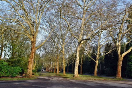 westfriedhof
