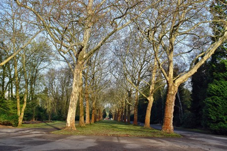 westfriedhof