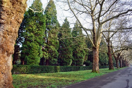 westfriedhof