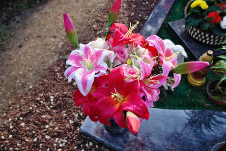 westfriedhof