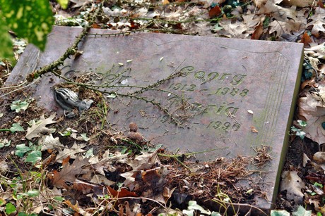 westfriedhof