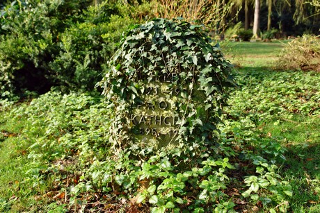 westfriedhof