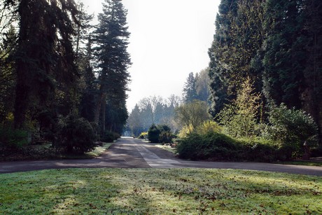 westfriedhof