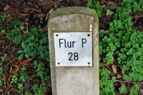 westfriedhof