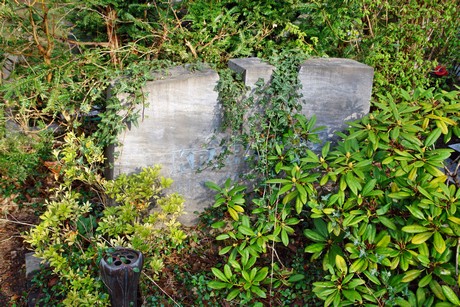westfriedhof