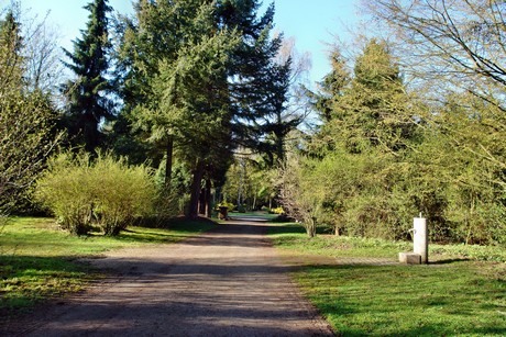 westfriedhof