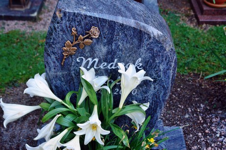westfriedhof