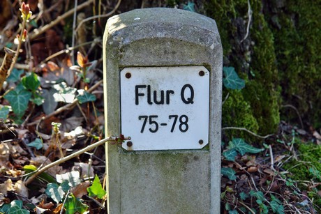 westfriedhof