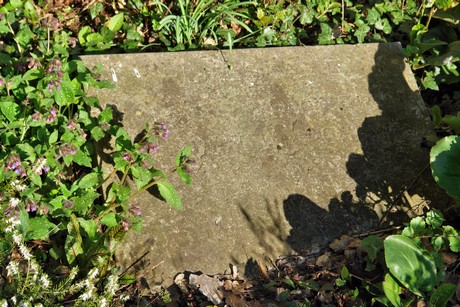 westfriedhof