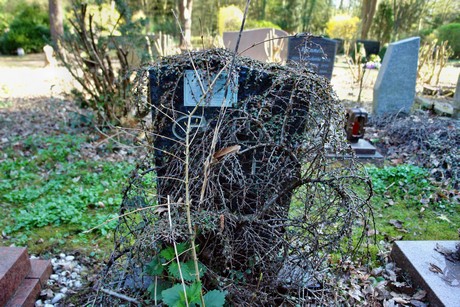 westfriedhof