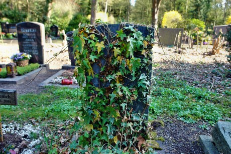 westfriedhof