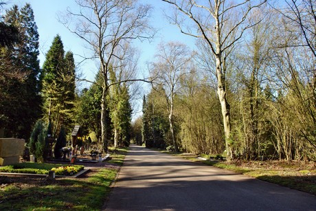 westfriedhof
