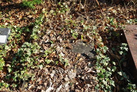 westfriedhof