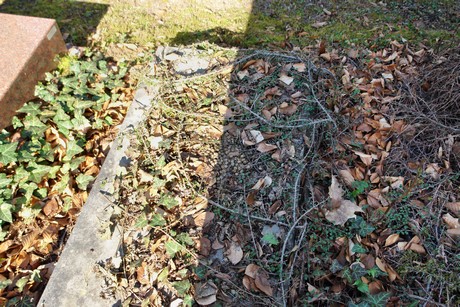 westfriedhof