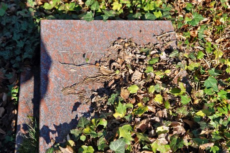 westfriedhof