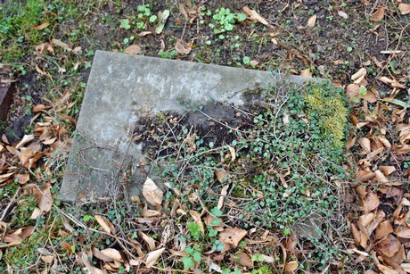 westfriedhof