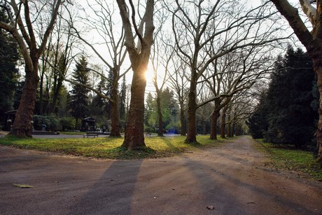 ostfriedhof