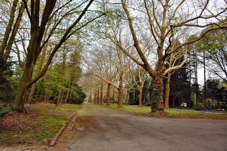 ostfriedhof