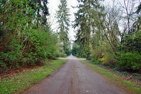 ostfriedhof
