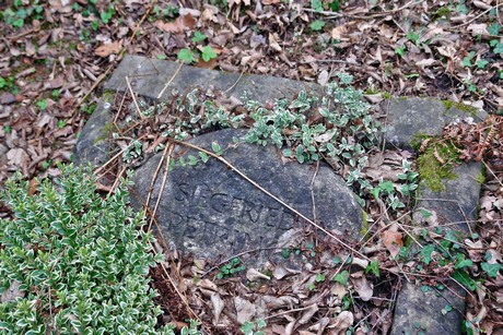ostfriedhof