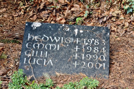 ostfriedhof