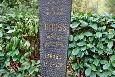 ostfriedhof