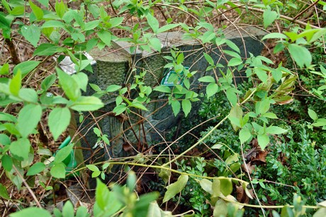 ostfriedhof