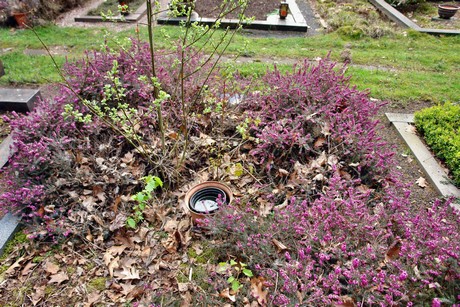 ostfriedhof