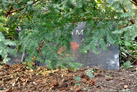 ostfriedhof