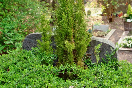 ostfriedhof